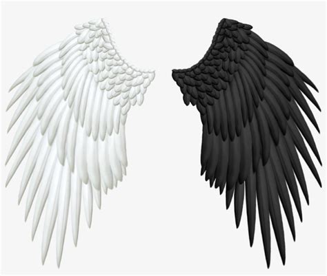 Half Wings Png Transparent - Angel And Demon Wings Png - 998x796 PNG Download - PNGkit