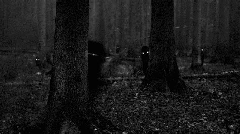 Creepy Eyes and Shadow Figures Hiding Behind Trees | Normal Paranormal