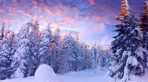 1600x1000px Winter Wonderland Desktop Background - WallpaperSafari | Winter pictures, Wallpaper ...