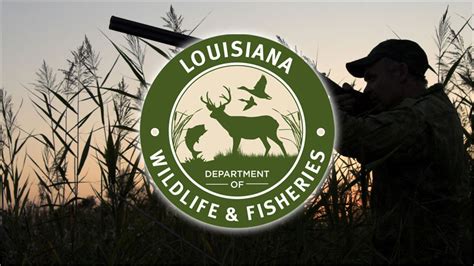 Louisiana Wildlife And Fisheries News