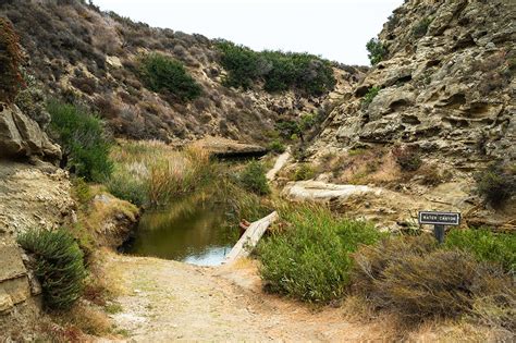 Channel Islands National Park: Santa Rosa Island Backcountry Beach ...