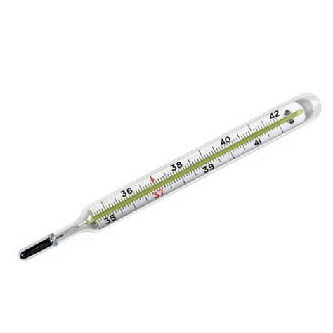 Mercury Thermometers at Best Price in India