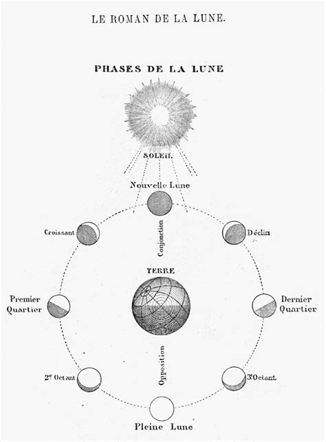 What the Full Moon in Leo January 2024 Means for You