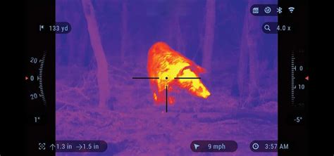 Thermal Scope vs Night vision - What is the Differences? - Accurateordnance