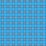 Checkered Tablecloth 2 Free Stock Photo - Public Domain Pictures