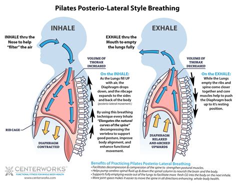 The Role of Pilates Posterio-Lateral Breathing to Improve Your Health