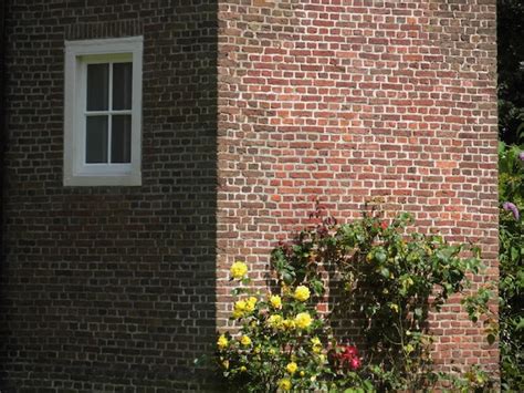 Premium Photo | Corner of a brick house with window and mini garden