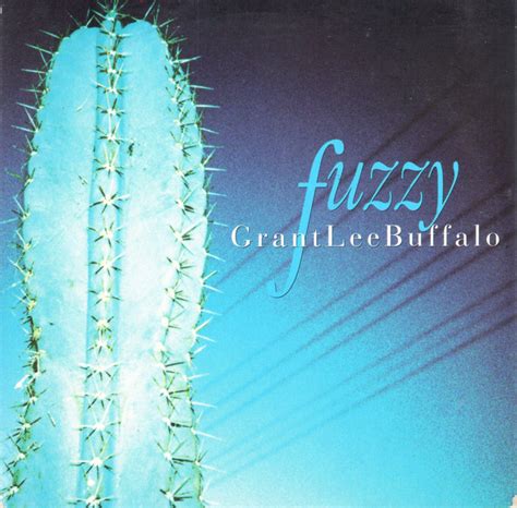 Grant Lee Buffalo - Fuzzy (1993, CD) | Discogs