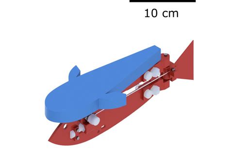 Robot fish to make underwater exploration more accessible ...