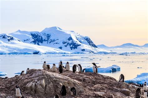 Cruise to Antarctic on the small ship Ushuaia | Viva Expeditions