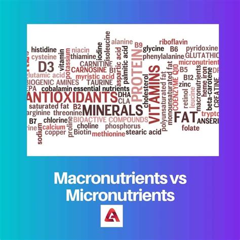 Macronutrients vs Micronutrients: Difference and Comparison