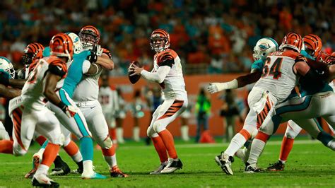 Podcast: Previewing Bengals vs Dolphins with On The FinSide - Cincy Jungle