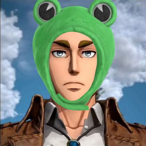 frog hat Attack On Titan, Aot Characters, Fictional Characters, Cute Profile Pictures, Erwin ...
