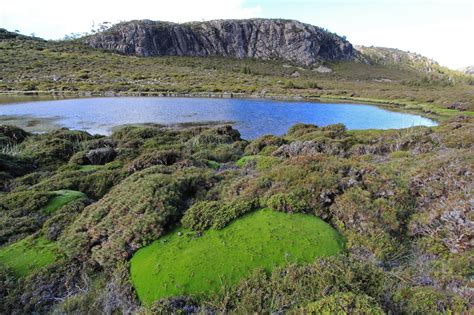 awildland: Walls of Jerusalem National Park, Tasmania