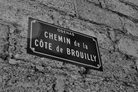 The 10 Crus of Beaujolais, explained (and then some…) | Paris Wine Company