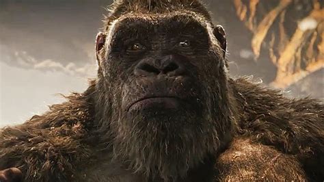 Characters In Godzilla Vs. Kong With More Meaning Than You Realize