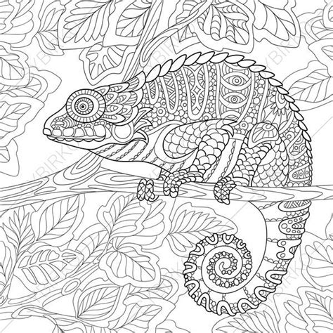 Chameleon Lizard. 2 Coloring Pages. Animal coloring book pages | Etsy