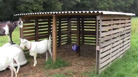 Pin by Sara Martinez on goats | Goat house, Goat shelter, Goat barn