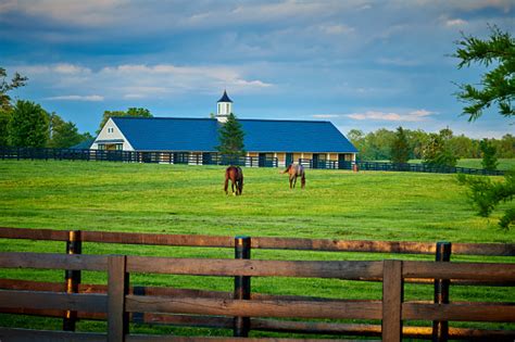 Horse Farm Pictures | Download Free Images on Unsplash