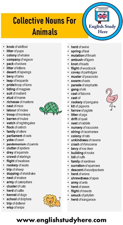 +75 Collective Nouns For Animals Word List - English Study Here