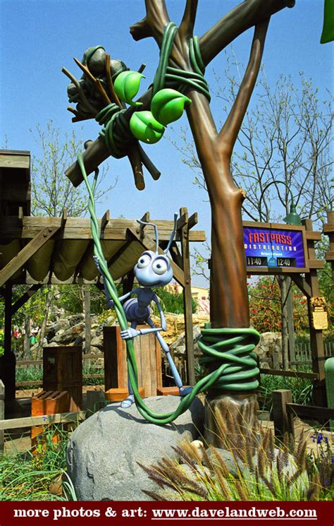 A Bug's Land - Disney's California Adventure Photo (4535712) - Fanpop