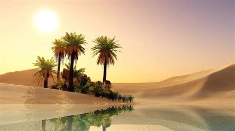 Saudi Arabia's Vision 2030: Oasis or Mirage? | Ber Cowen | The Blogs