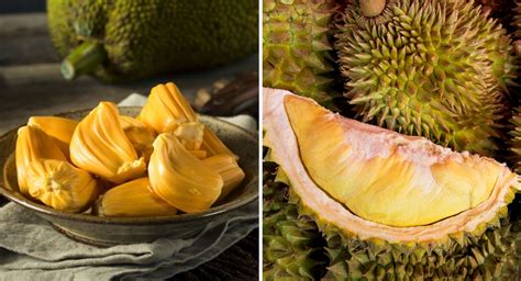 Jackfruit vs durian: the fruit, the taste and the smell - Localise Asia