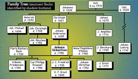 Enlightenment Johann Sebastian Bach: Johann Sebastian Bach's Interview