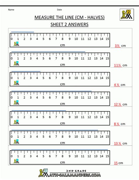 Reading A Metric Ruler Worksheet Answers - Printable Word Searches