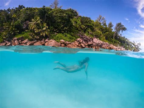 Seychelles Snorkeling: amazing marine life in Seychelles