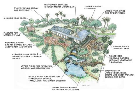 one-acre | Farm | Farm layout, Homesteading, Homestead layout