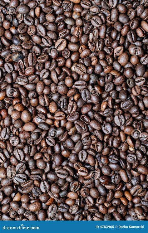 Fresh Roasted Coffee Beans Royalty Free Stock Photo - Image: 4783965