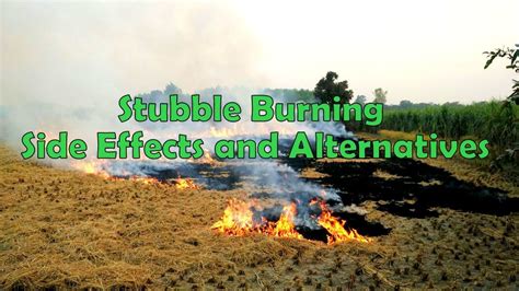 Stubble burning side effects and its alternatives