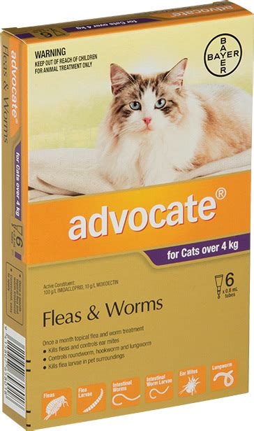 Advocate® Flea and Worm Treatment for Cats over 4kg, 3 or 6 pack - Kamo Veterinary Limited