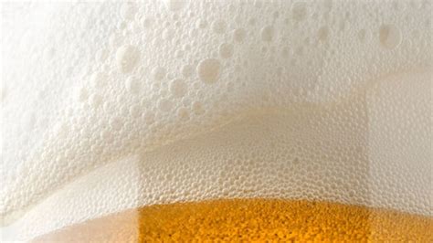 How Powdered Beer Could Make Raising a Glass Greener - News18