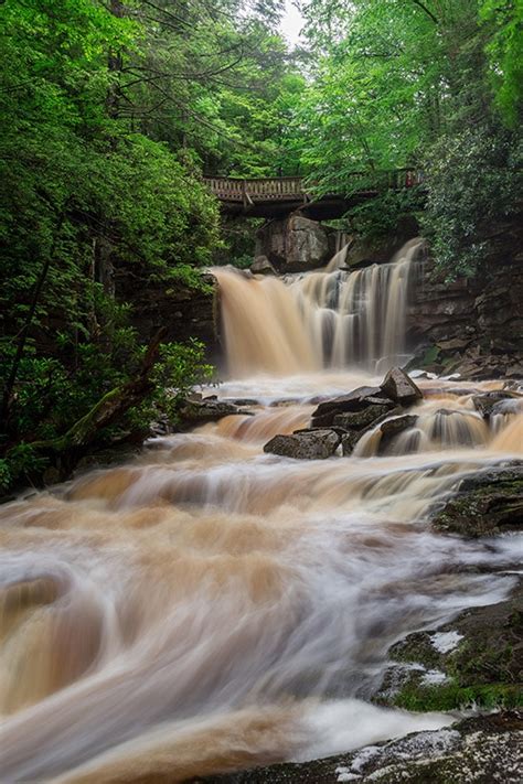 Elakala Falls (West Virginia)