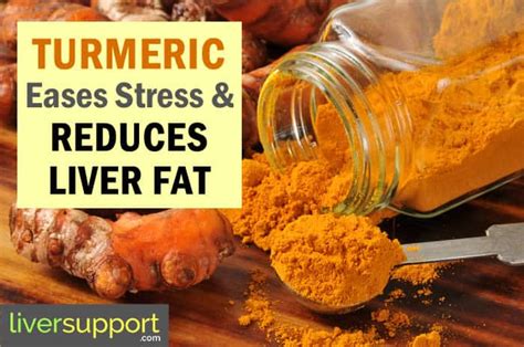 Turmeric Eases Stress and Reduces Fat in the Liver