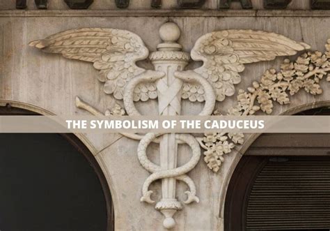 What Is The Caduceus Symbol? — History and Meaning - Symbol Sage