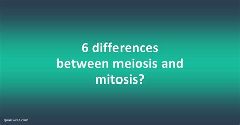 6 differences between meiosis and mitosis? - Quanswer