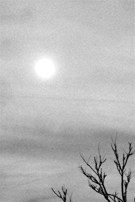 The Moon in Black and White | Cropped then turned the image … | Flickr