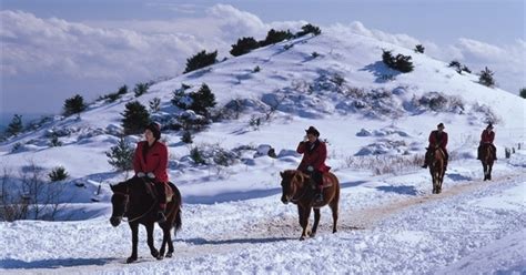 Here's Why Jeju Island Is The Perfect Holiday Destination To Experience Winter