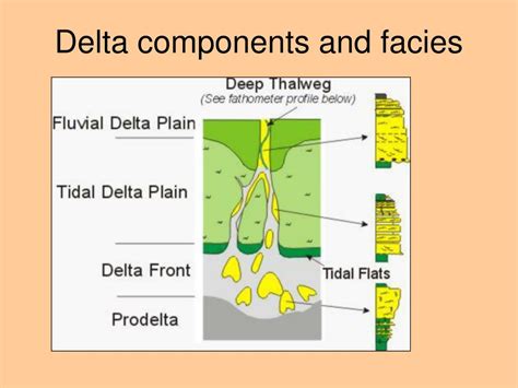 PPT - FACIES MODELS PowerPoint Presentation - ID:501257