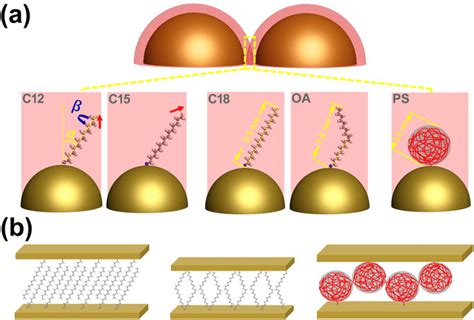 Schematic illustration of the structural configuration of various Au NP... | Download Scientific ...