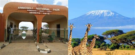 5 Amboseli National Park Facts | Ambseli National Park Safaris