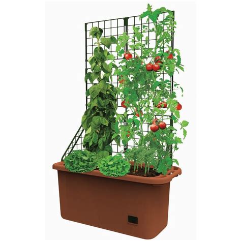 Lakeside Self Watering Vegetable Planter Box with Trellis on Wheels ...