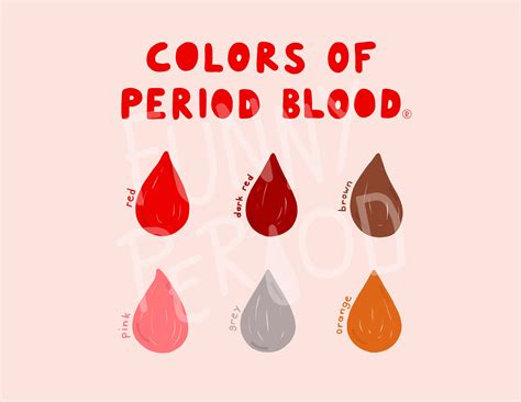 Colors of Period Blood Informative Menstruation Illustration - Etsy UK