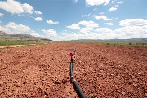 Medidas de ahorro de agua para cuidar nuestro entorno • Renovables