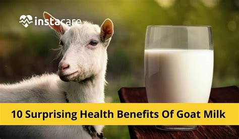 10 Surprising Health Benefits Of Goat Milk