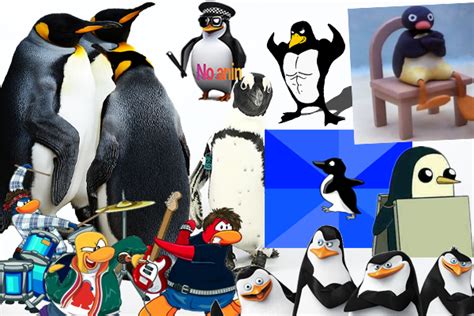 15 Original Penguin Memes & Why Penguins Are Incredible Memes - He,Him,His