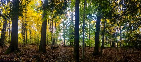 Nature reserve near me :) : r/Ohio